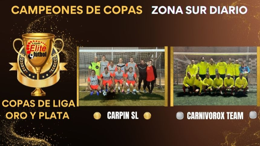 CAMPEONES COPAS DE LIGA ZONA SUR DIARIO